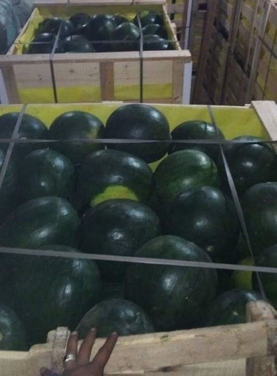 Aton Green Egypt Fresh Fruits & Vegetables